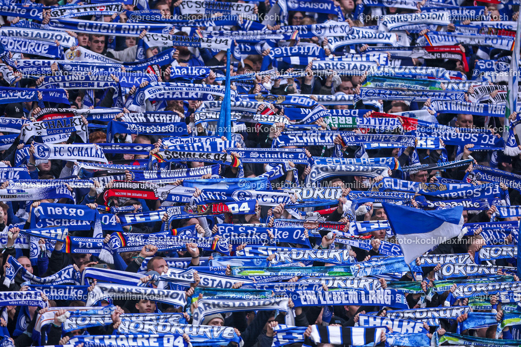 Schalke10112402138 | 10.11.2024, Fußball, FC Schalke 04 - SSV Jahn Regensburg, 2. Fußball Bundesliga, Veltins-Arena Gelsenkirchen, Saison 2024 2025: Schalkefans präsentieren vor dem Spiel den Fanschal Schalparade Schal Fans Zuschauer Nordkurve  DFB regulations prohibit any use of photographs as image sequences and or quasi-video.