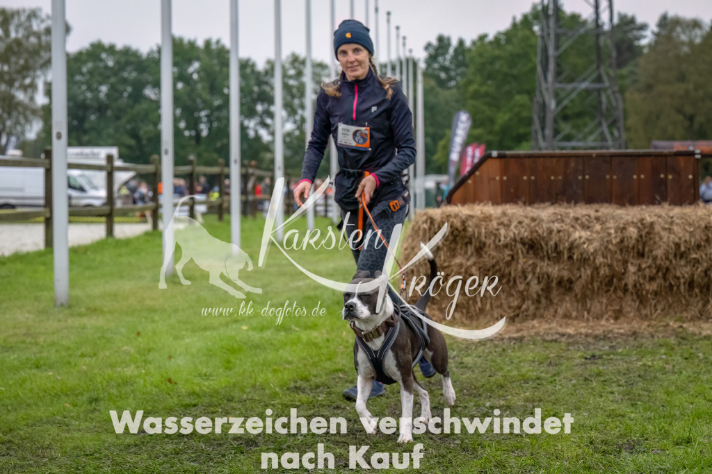 1201--4 | kk-dogfotos