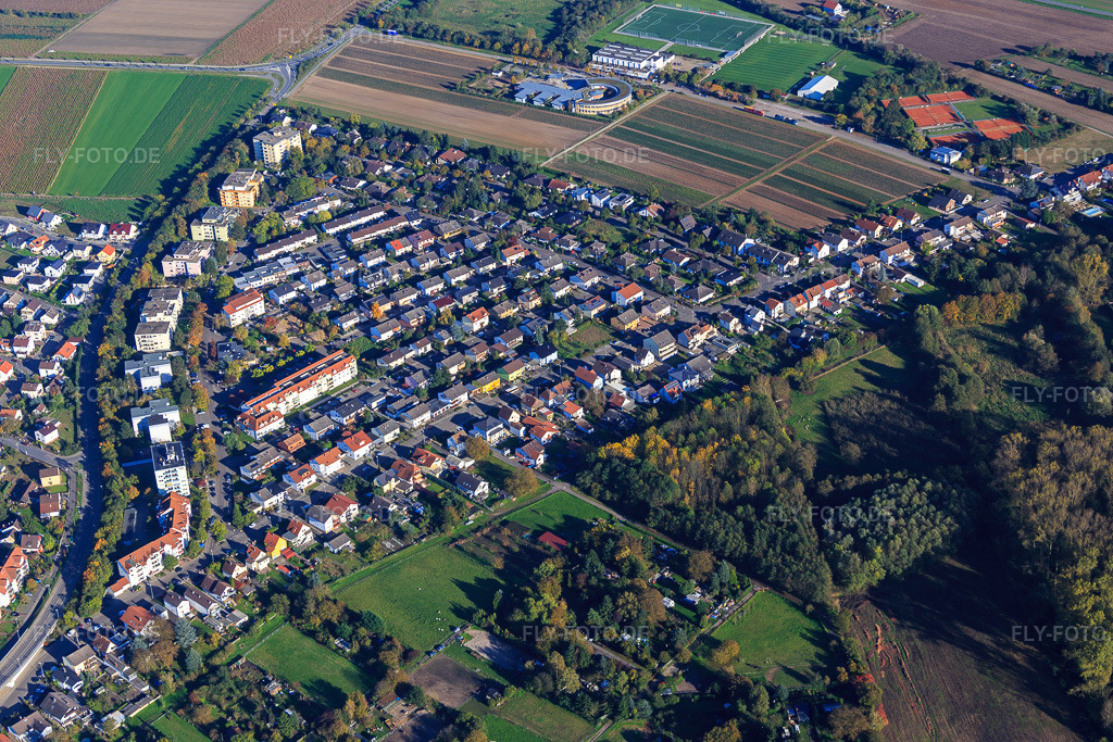 Luftbild: Europaring in Lampertheim im Bundesland Hessen in Deutschland. Foto: IMG_074935.jpg vom 18.10.2014 durch Werner Riehm/FLY-FOTO.de