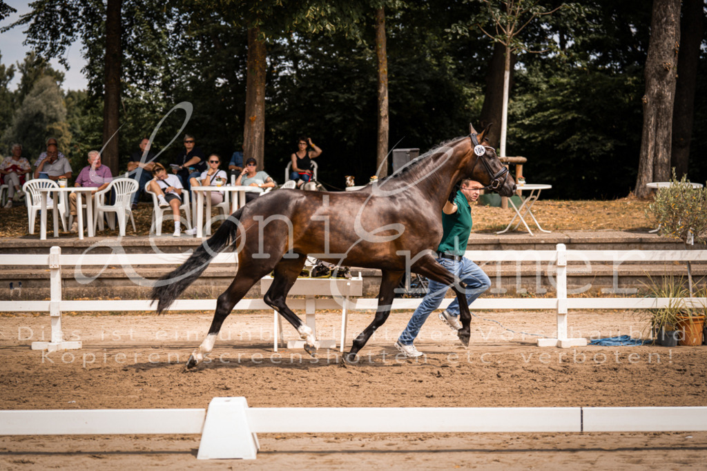 2. Fr00088 | Leoni Ertmer Photography - Realisiert mit Pictrs.com
