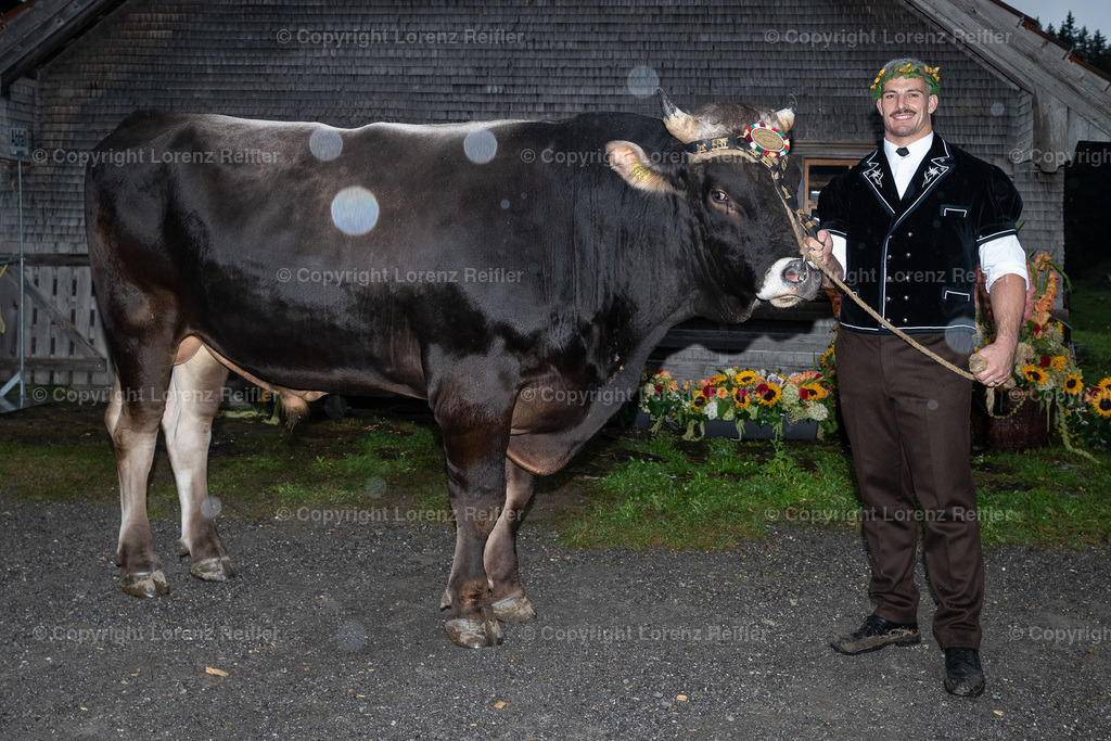 Schwingen -  Schwägalp-Schwinget 2024 2024 | Schwägalp, 18.8.24, Schwingen - Schwägalp-Schwinget 2024.