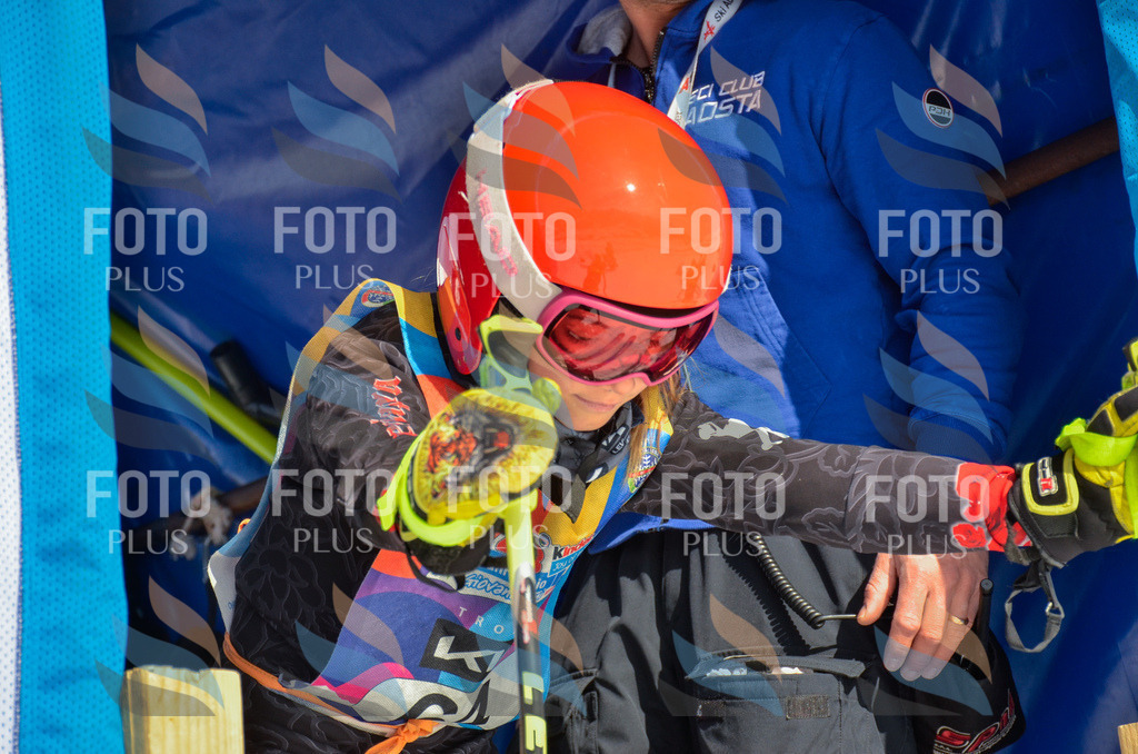 _ELE5355 | holidayphoto