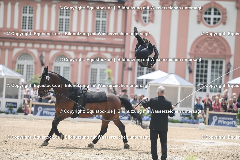20240519_Voltige_0547 | Foto: Thomas Hartig