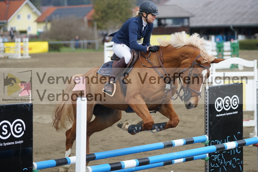 DSC01046 | equestrian-live-com