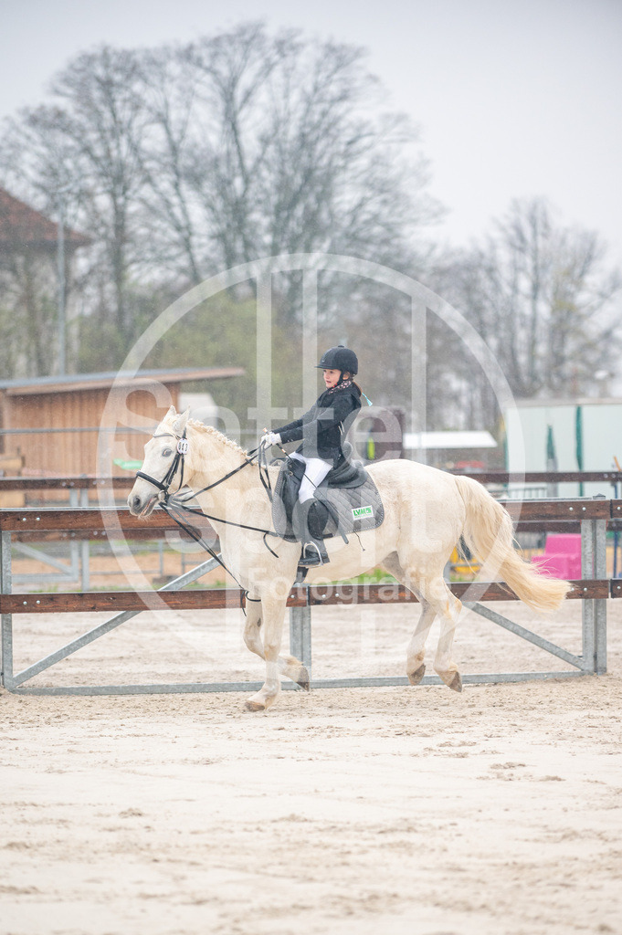 DSC_3179 | sattelsport - Realisiert mit Pictrs.com