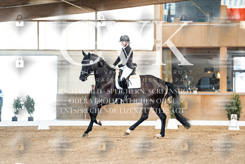 CK900683 | Turnierfotografie Pferdefotografie Trier Rheinland-Pfalz Pferdesport Reitsport Tierfotografie Sportfotografie Pferdevideo Pferdevideografie Equestrianvideography equestrianphotography  - Realisiert mit Pictrs.com