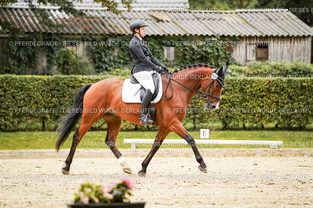 DSC07187 | Pferdegrafie