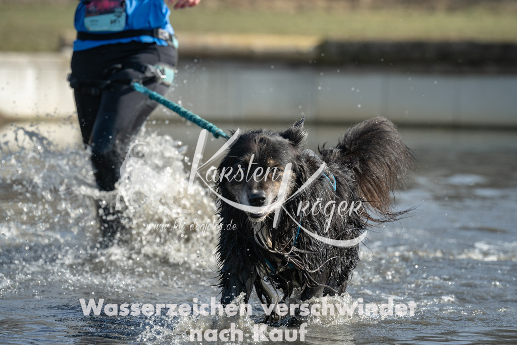 1303_ZZ94174 | kk-dogfotos