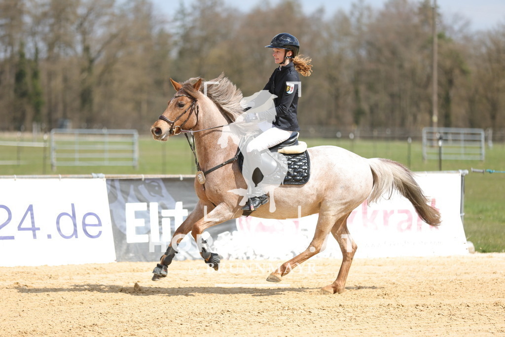 0P6A7750 | Willkommen bei Brunnmayr - Design & Fotografie – Ihrem Spezialisten für Reitturniere und Pferdeveranstaltungen in Oberösterreich, Salzburg und Bayern! Seit über 17 Jahren sind wir leidenschaftlich dabei.