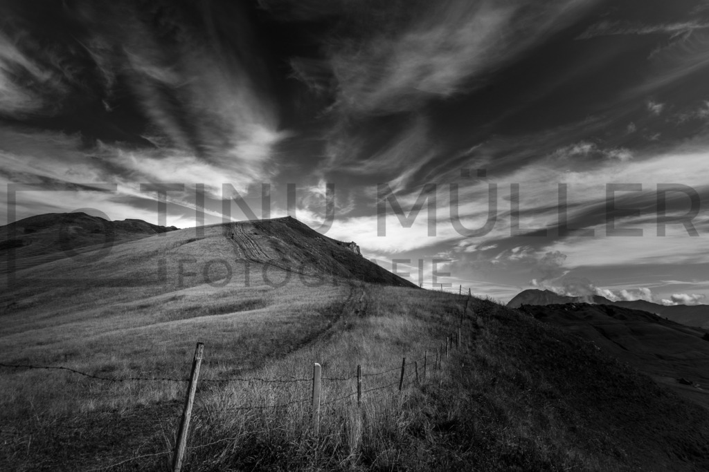 DSC06884 | Tinu Müller Fotografie- Bildershop - Realisiert mit Pictrs.com