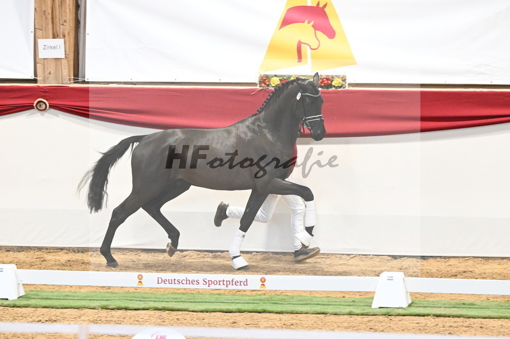 Kat.-Nr. 39 v. De Chirico_Schadock_3260283 | hf-fotografie - Realisiert mit Pictrs.com