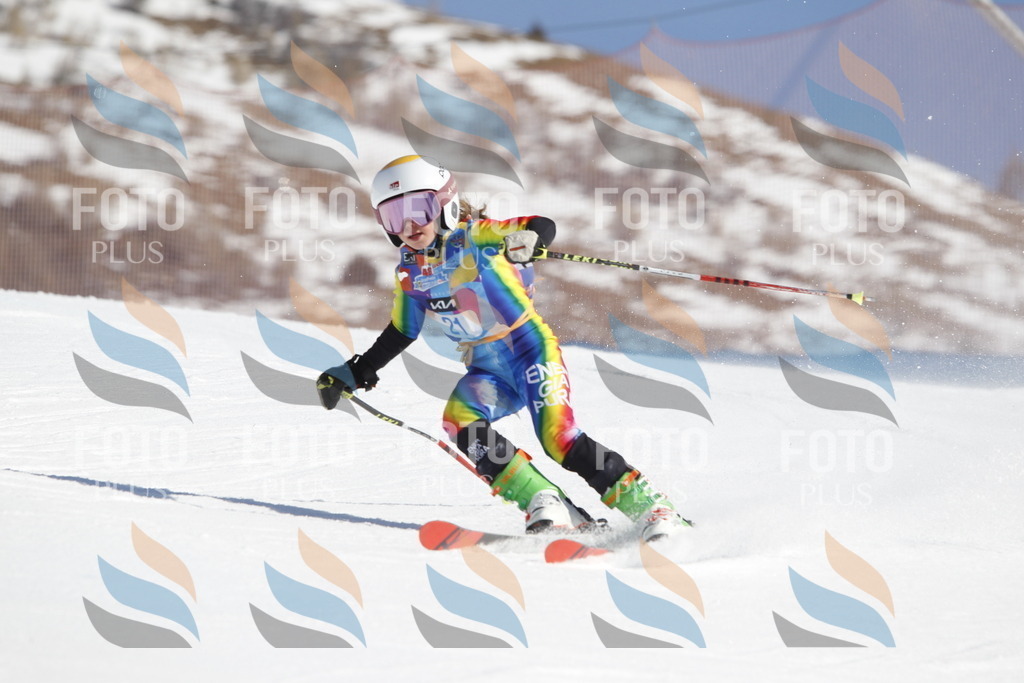 _U3G8874 | holidayphoto