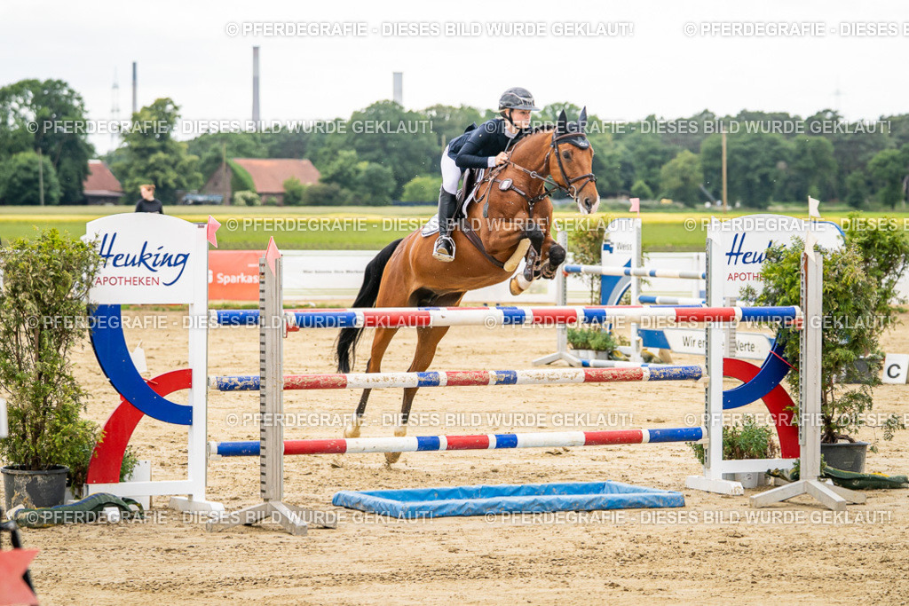 DSC06192 | Pferdegrafie