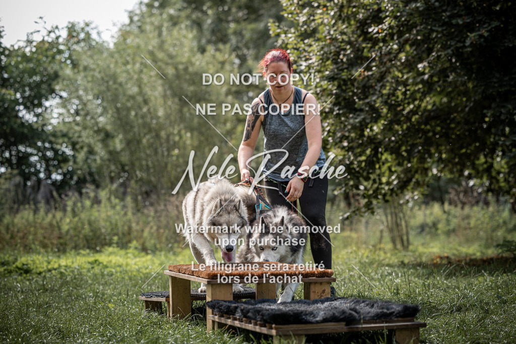 nelerasche_SoLauf_257 | nelerasche