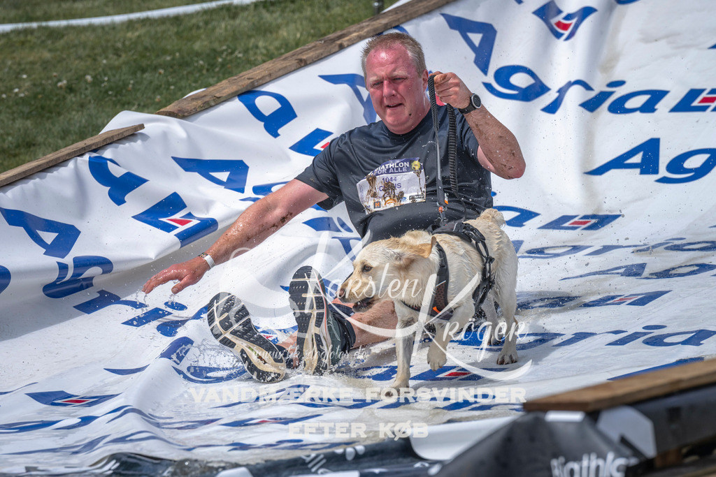 1214_ZZ96177 | kk-dogfotos