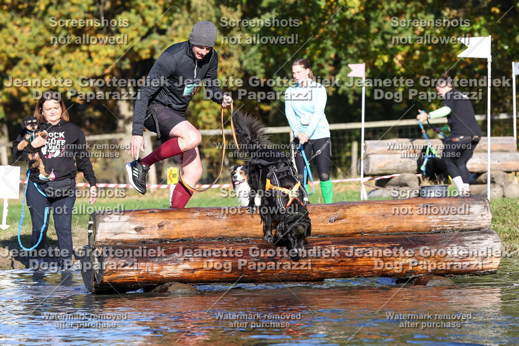 Dog Paparazzi - Strongdog 10-25-8829 | Dog Paparazzi Jeanette Grottendiek Fotografie & Videografie - Realisiert mit Pictrs.com