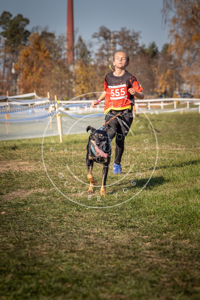 CaniXpix_0L8A7750 | Hundefotografie, Tierfotograf, Pfotenfotografie, Fotoshooting Hund, Hunde Portrait, Hundesport, Hundeportraits, Heideshooting, Hunde, Sportfotograf, Hundefotograf, Turnierhundsport, THS,  - Realisiert mit Pictrs.com
