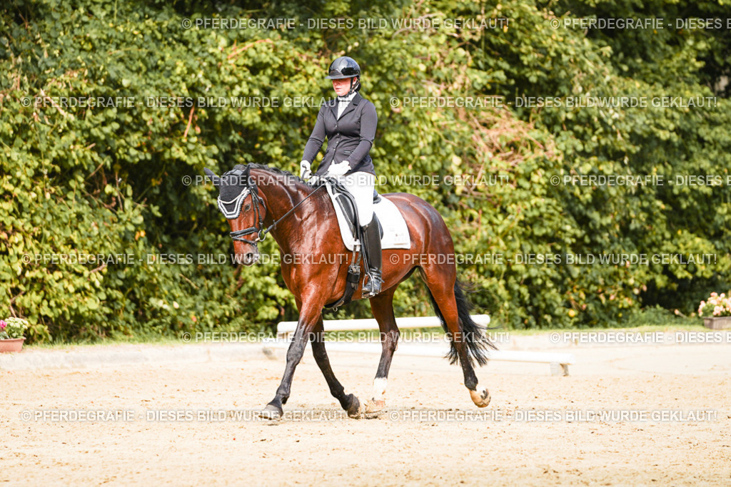 DSC03580 | Pferdegrafie