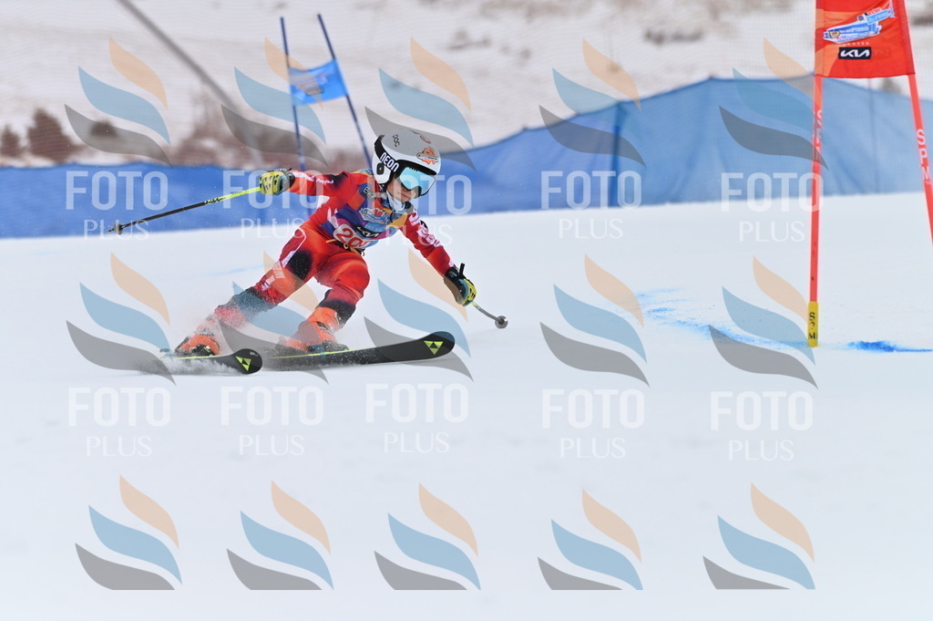 BGV_2033 | holidayphoto