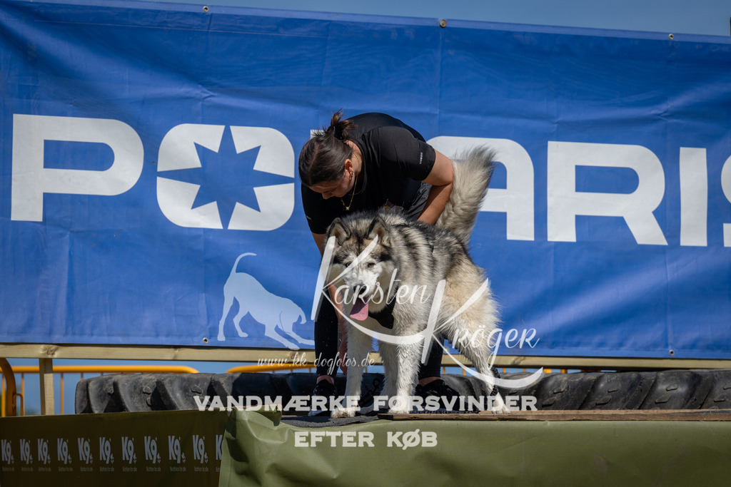 1313_ZZ98314 | kk-dogfotos