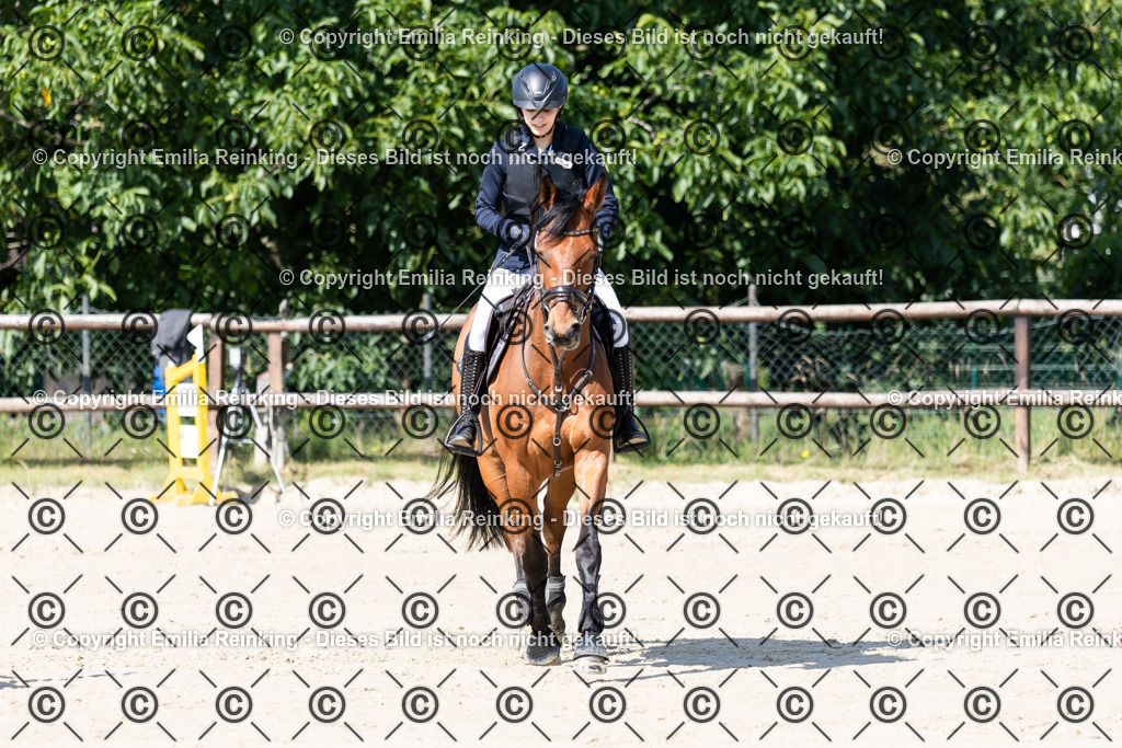 CL5A6565 | Emilia Reinking Fotografie - Realisiert mit Pictrs.com