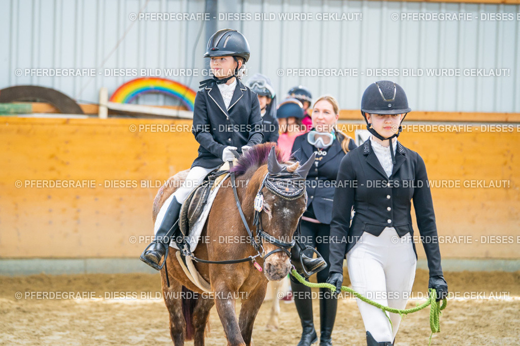 DSC00481 | Pferdegrafie