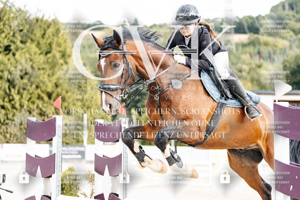 CK902565 | Turnierfotografie Pferdefotografie Trier Rheinland-Pfalz Pferdesport Reitsport Tierfotografie Sportfotografie Pferdevideo Pferdevideografie Equestrianvideography equestrianphotography  - Realisiert mit Pictrs.com