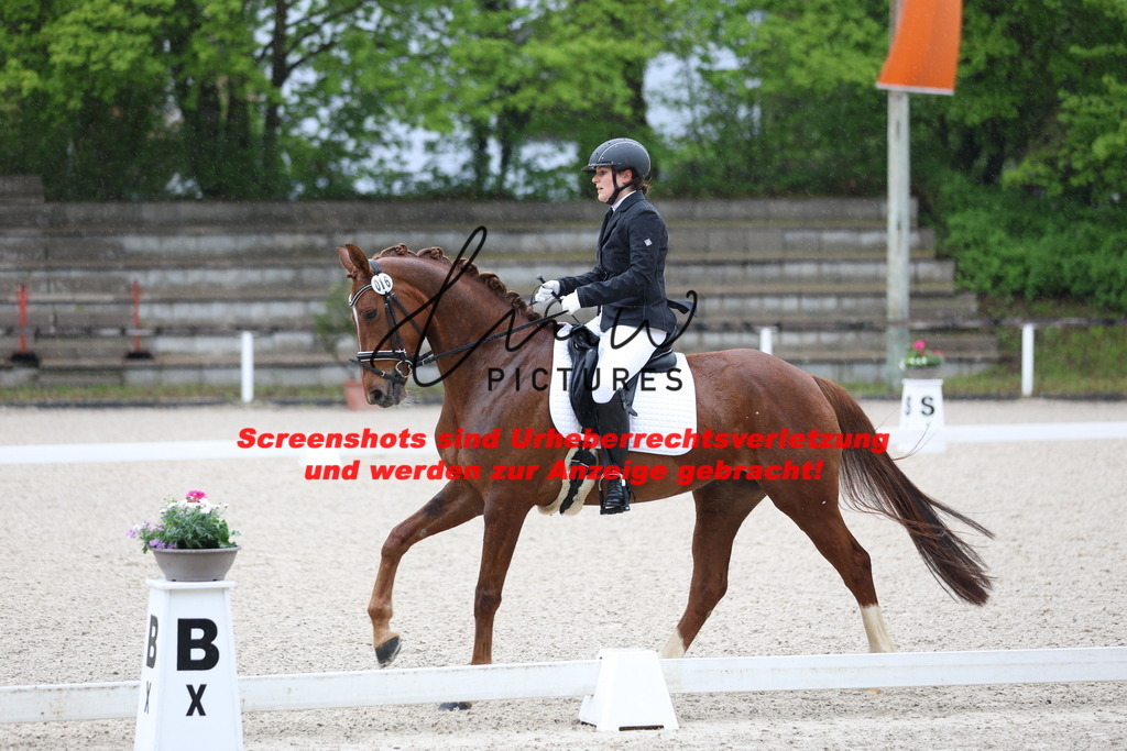 A40A7254 | lmwpictures - Realisiert mit Pictrs.com