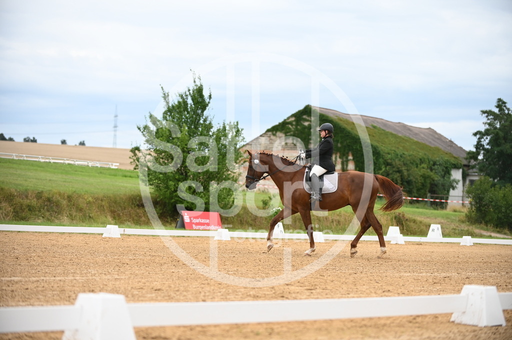 DSC_4455 | sattelsport - Realisiert mit Pictrs.com