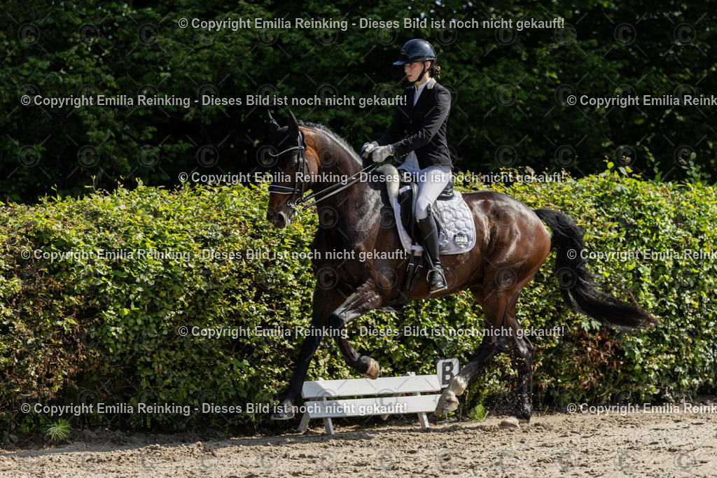 CL5A7303 | Emilia Reinking Fotografie - Realisiert mit Pictrs.com