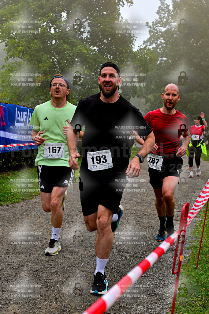 Z8N_1909 | la-psv - Realisiert mit Pictrs.com