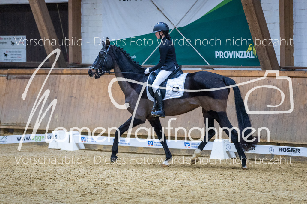 Sth-WBO25-EDr-100 | MomenTaufnahmen Pferdesportfotos