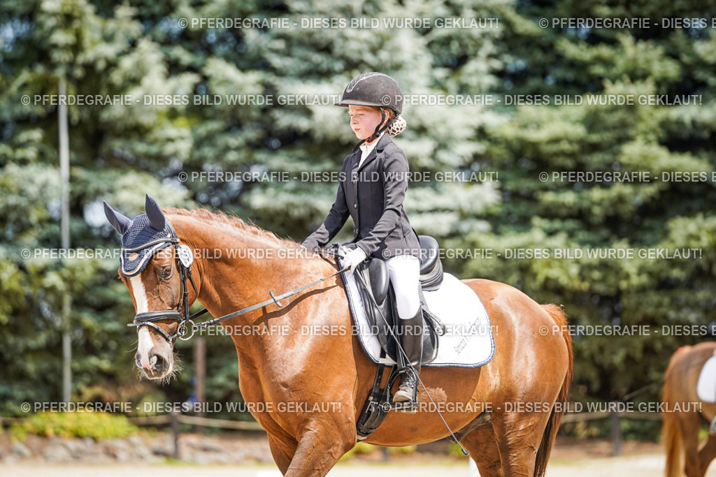 DSC03275 | Pferdegrafie