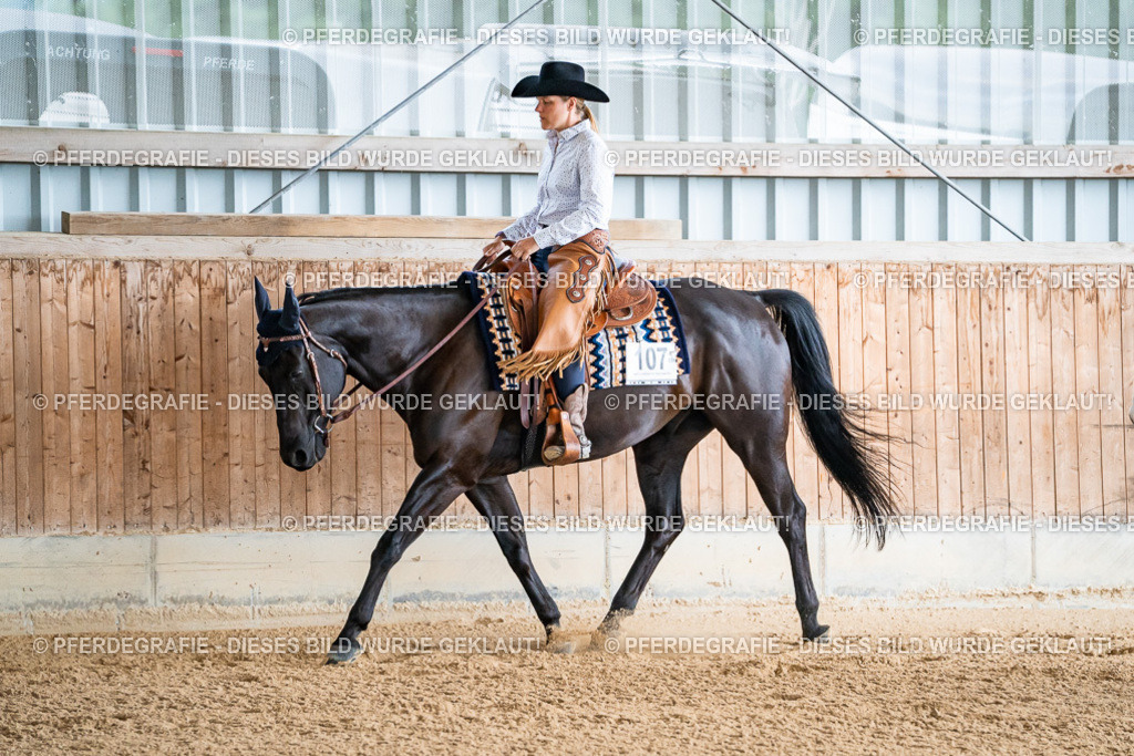 DSC09882 | Pferdegrafie