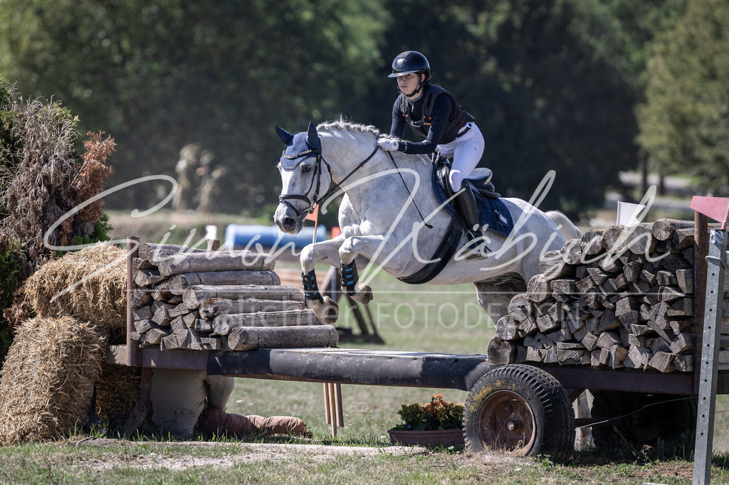 20260906-_3LI4366 | Tierfotografie Pferde, Hunde, Katzen, Haustiere.
Turnierfotografie Reitturniere, Reiten, Springreiten, Dressur in Hanau, dem Main-Kinzig-Kreis und dem Rhein-Main- Gebiet um Frankfurt