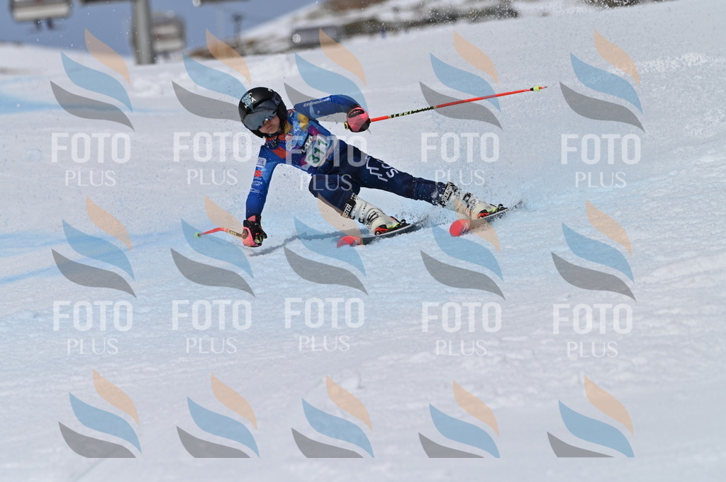 BGV_6166 | holidayphoto