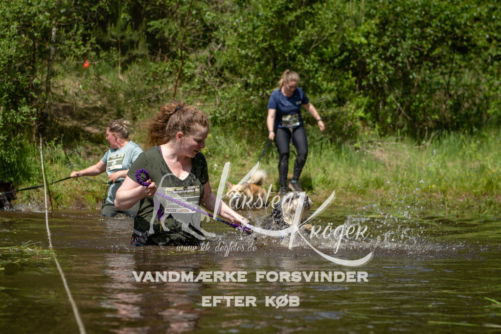 1215DKK992327 | kk-dogfotos