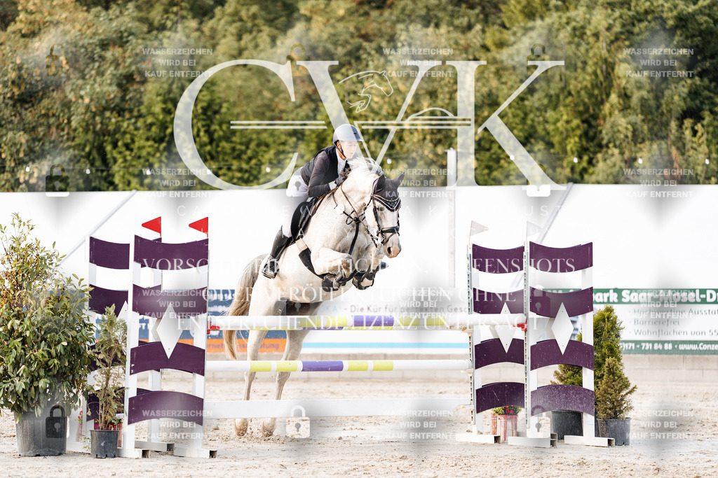 CK903837 | Turnierfotografie Pferdefotografie Trier Rheinland-Pfalz Pferdesport Reitsport Tierfotografie Sportfotografie Pferdevideo Pferdevideografie Equestrianvideography equestrianphotography  - Realisiert mit Pictrs.com