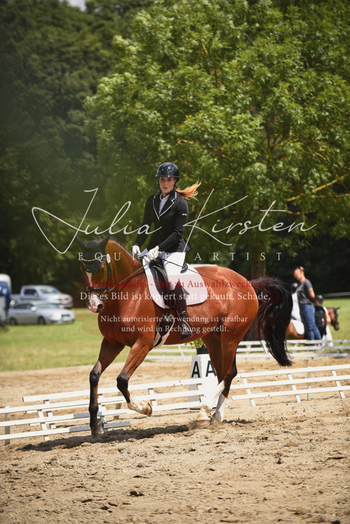 DSC_1268 | Pferde- und Turnierfotografie in Westsachsen. Pferdeportraits, Auftragszeichnungen und intuitive Kunst.