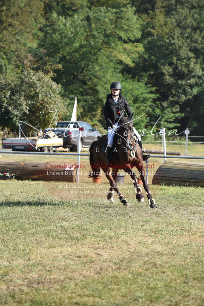 DSC_5372 | Pferde- und Turnierfotografie in Westsachsen. Pferdeportraits, Auftragszeichnungen und intuitive Kunst.