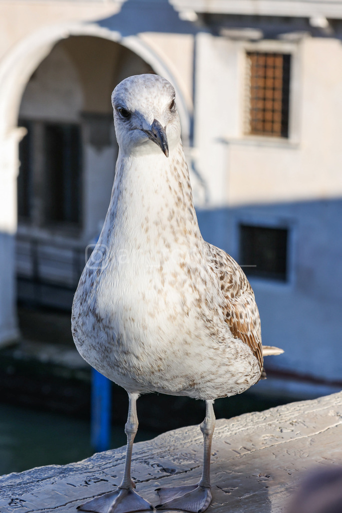 A. Trupina-16 | antonija-trupina - Realisiert mit Pictrs.com