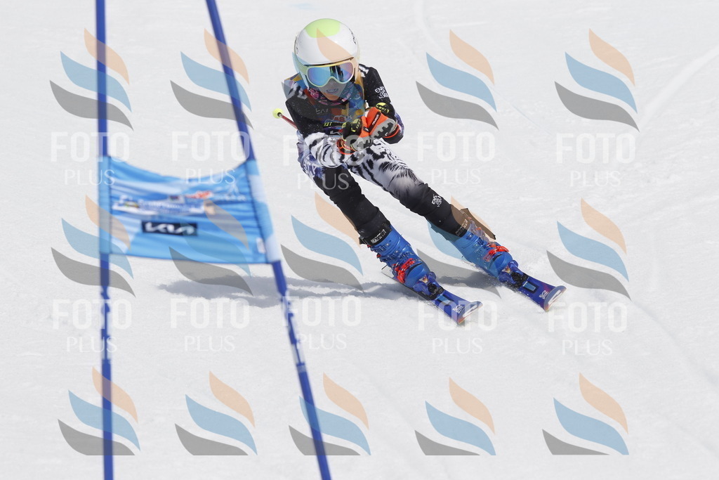 _U3G2372 | holidayphoto