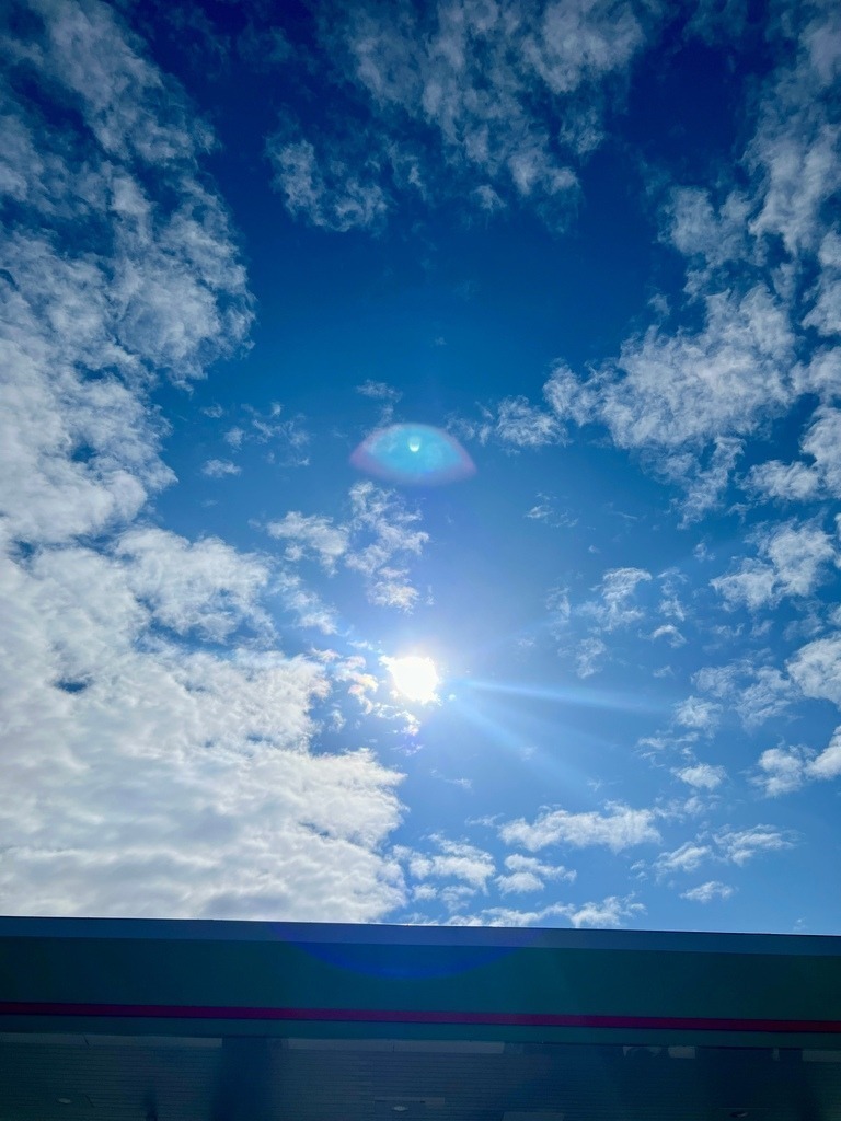 IMG_0666 | ace - Realisiert mit Pictrs.com