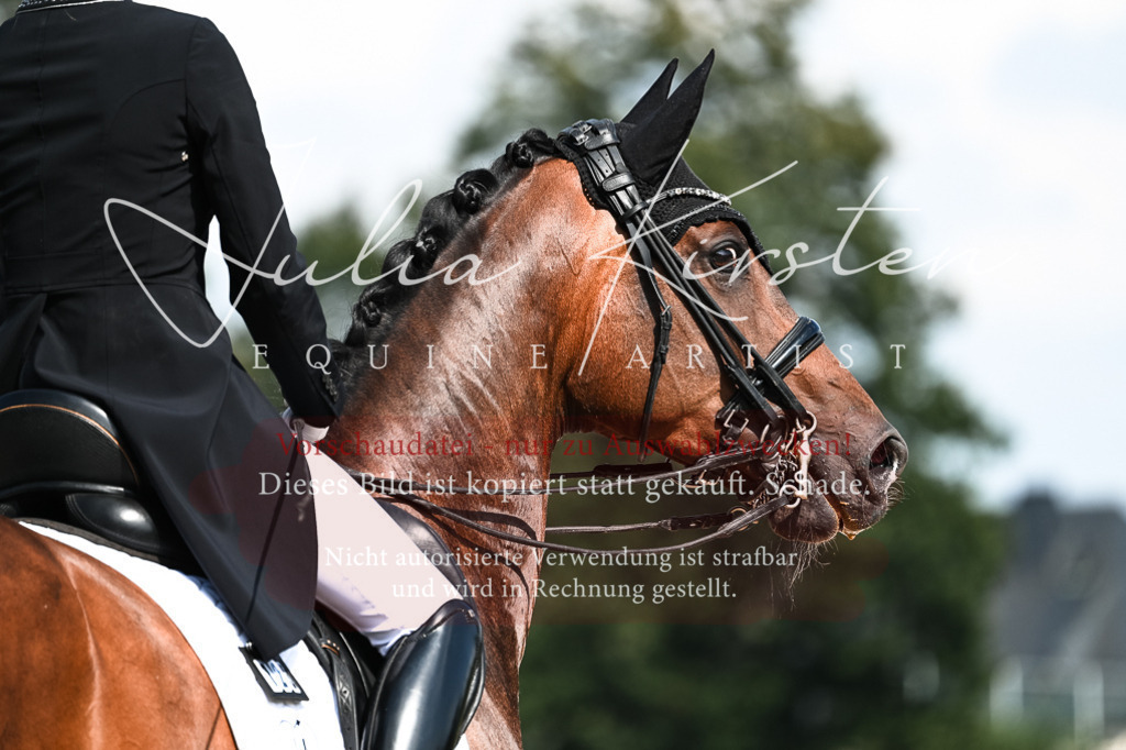 DSC_3079 | Pferde- und Turnierfotografie in Westsachsen. Pferdeportraits, Auftragszeichnungen und intuitive Kunst.