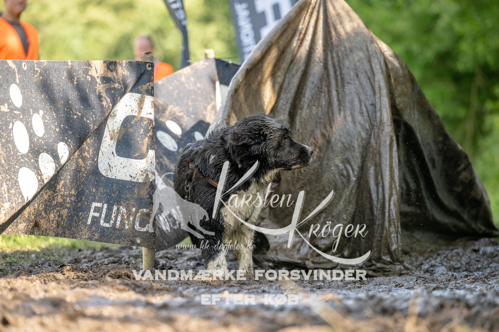 1517_ZZ91327 | kk-dogfotos