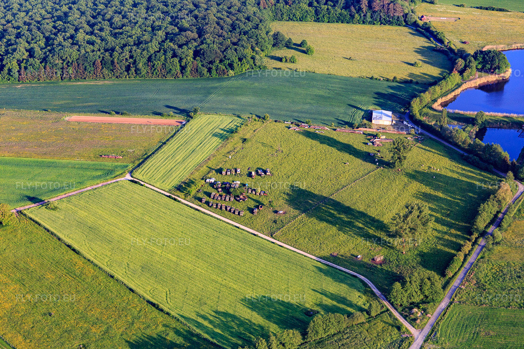Vue aérienne: Camions militaires désaffectés dans une prairie à Vibersviller dans le département Moselle, France – .Photo: IMG_107396.jpg prise le 19/05/2018 par Werner Riehm/FLY-FOTO.eu – Résolution de l'original: 5472 x 3648 px
