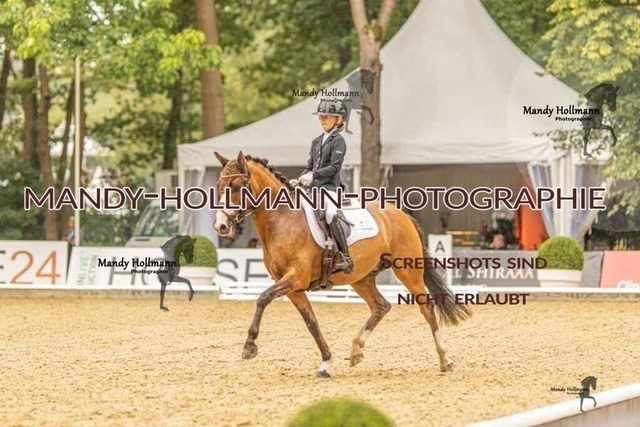 28-8-26 5j DRE-1274 | mandyhollmannphotographie