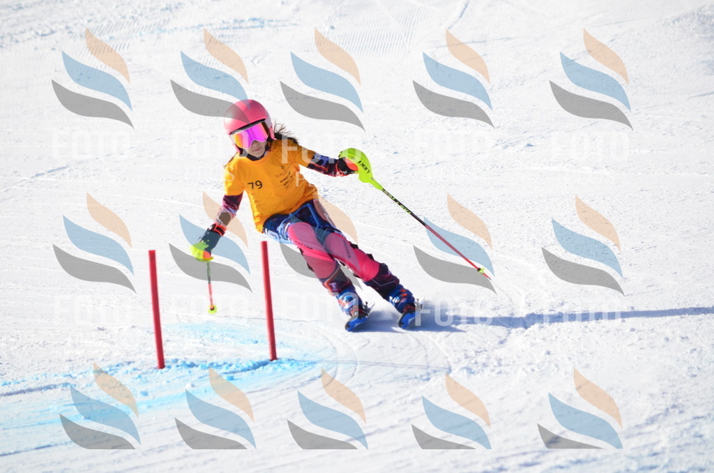 C5968 | holidayphoto