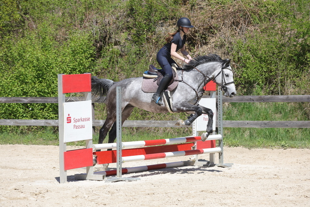 0P6A8836 | Willkommen bei Brunnmayr - Design & Fotografie – Ihrem Spezialisten für Reitturniere und Pferdeveranstaltungen in Oberösterreich, Salzburg und Bayern! Seit über 17 Jahren sind wir leidenschaftlich dabei.