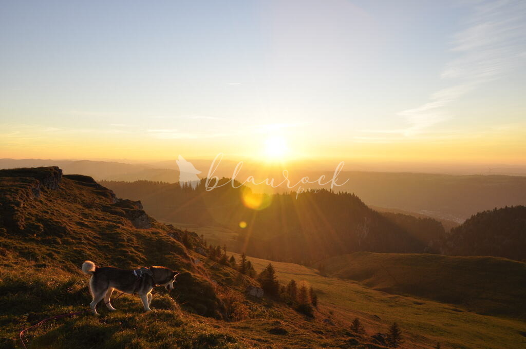 Natur_00002 | Sportbilder, Sportfotograf, Hochzeits- und Eventfotografin, Flugshows, Portraits und Tiershooting, Aviation, Downhill, Nationalleague, Swissleague, International